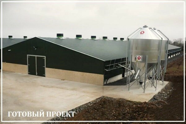 Этапы возведения птицефабрики от завода ВелесТент-крг